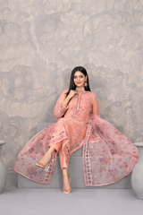 Dilkash Embroidered Fancy Organza Vol-01 D-4270