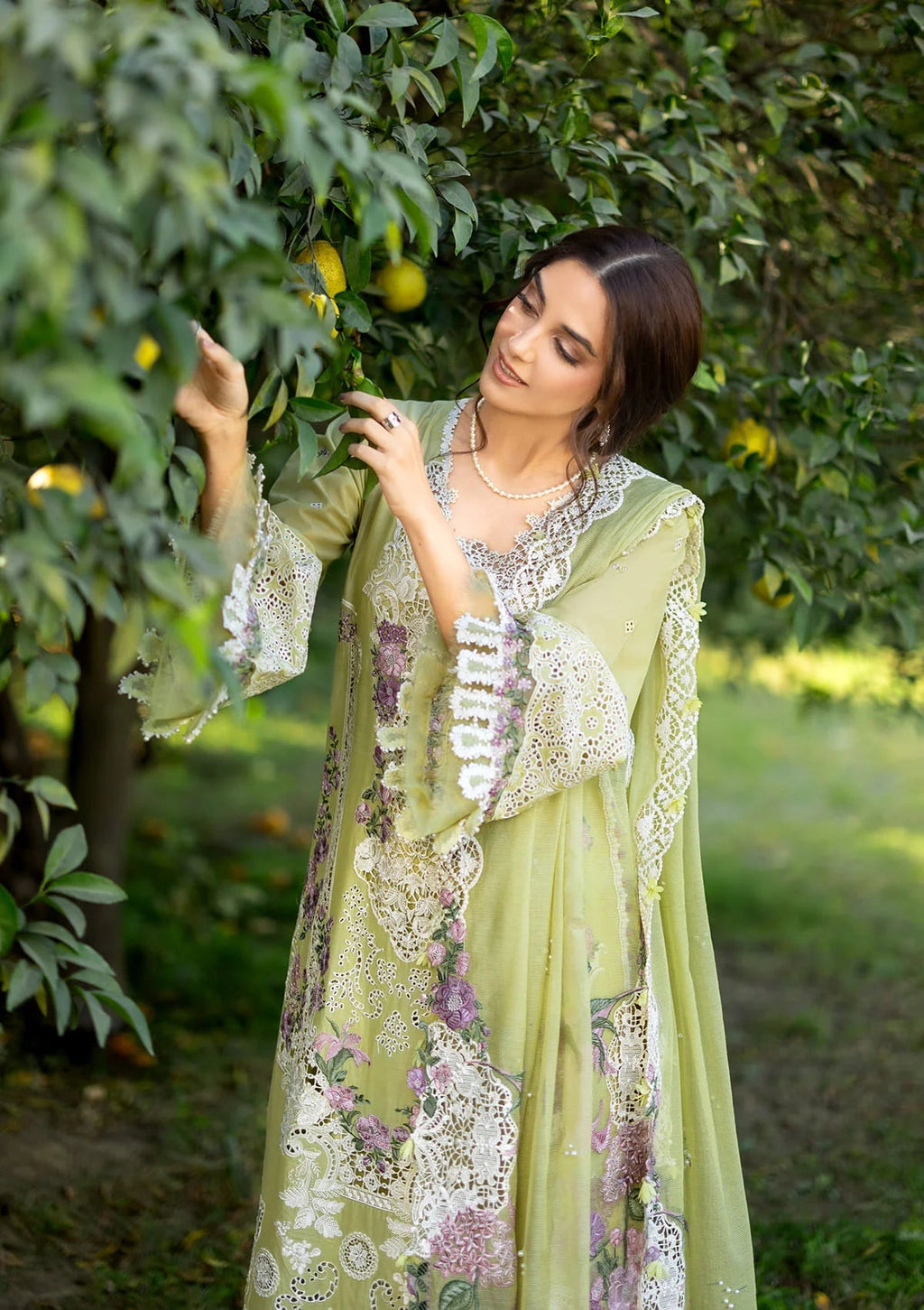 LUXURY LAWN BY ELAF PREMIUM (ELY-08 PISTACHIA)