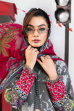 M/Basics Printed Collection`25 D-6A