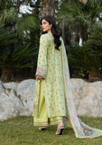 Chikankari Prints By Elaf (ERC-2A HINA)
