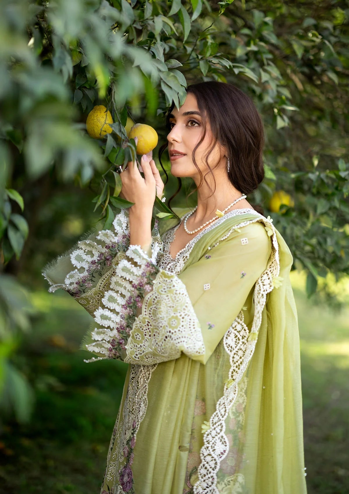 LUXURY LAWN BY ELAF PREMIUM (ELY-08 PISTACHIA)