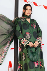 M/Basics Printed Collection`25 D-7A