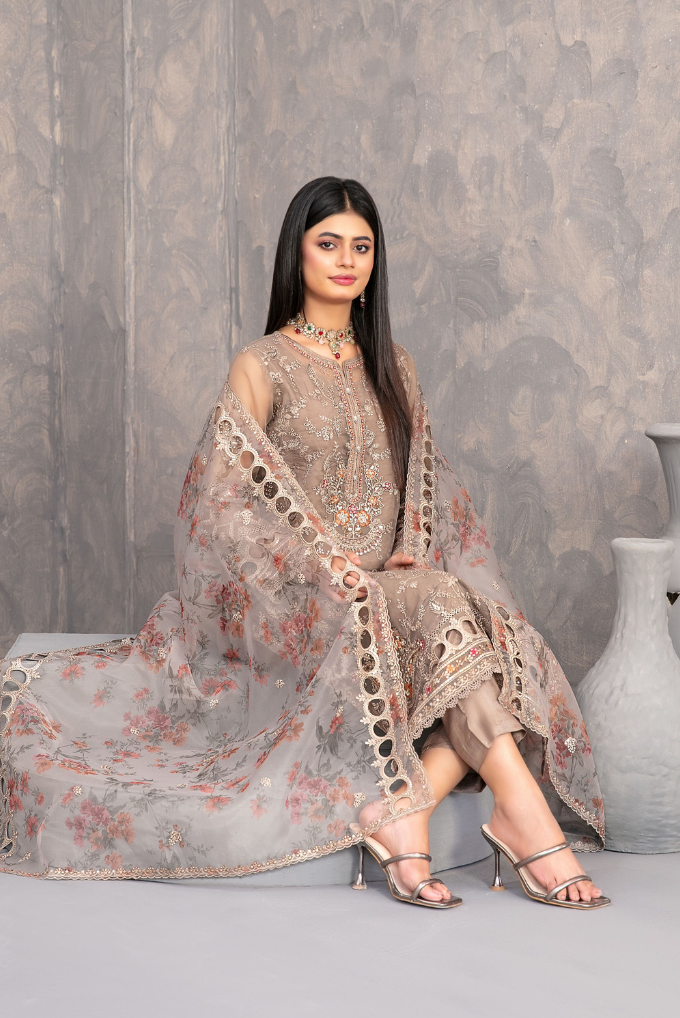 Dilkash Embroidered Fancy Organza Vol-01 D-4271