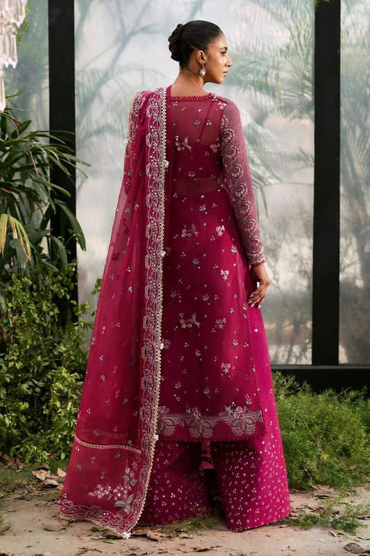 La Fuchsia Festive`25 by Afrozeh ROWAN 