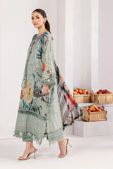 M/Basics Printed Collection`25 D-9A