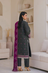 Afsana by Peridot ( 487-B  )