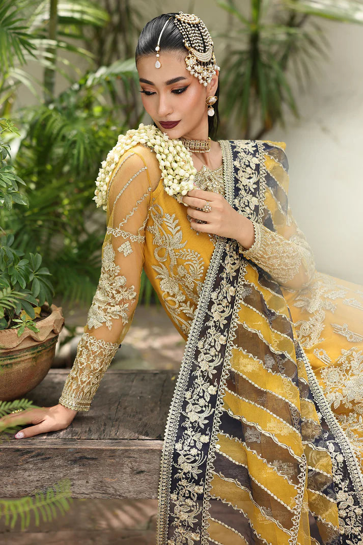Saiyara by Imrozia|Serene ZAREHA I-230