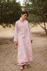Core Collection by Ayzel`25 Selis