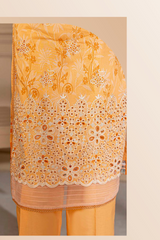 Sahil By Milli Fashion Collection'25 D-06