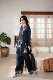 Chickankari By Naqsh (Blue Contour - 00198)
