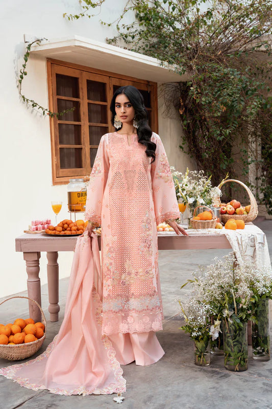 Chickankari By Naqsh (Peach Blossom - 00194)