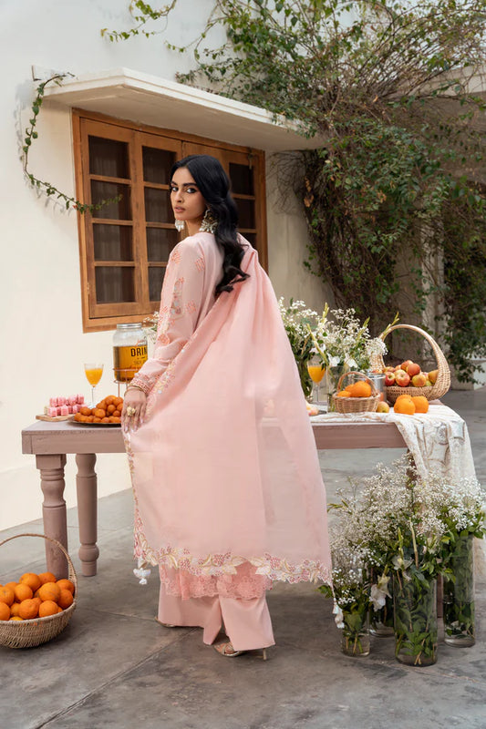 Chickankari By Naqsh (Peach Blossom - 00194)