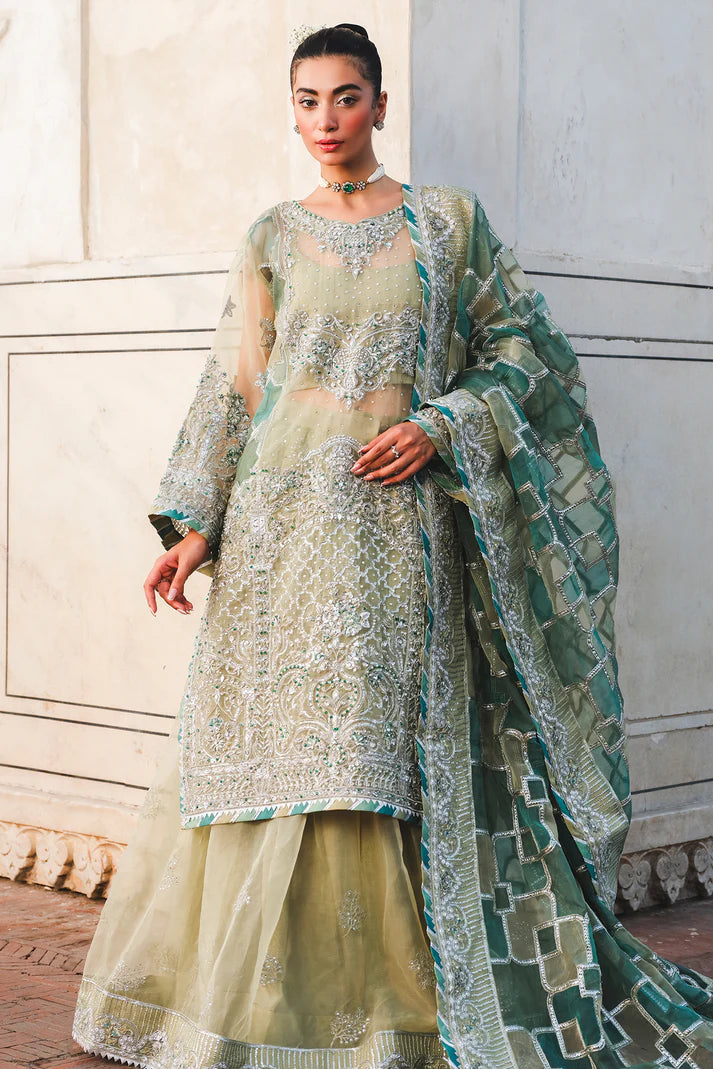 Zauj  by Raeesa Premium (AAK-06)