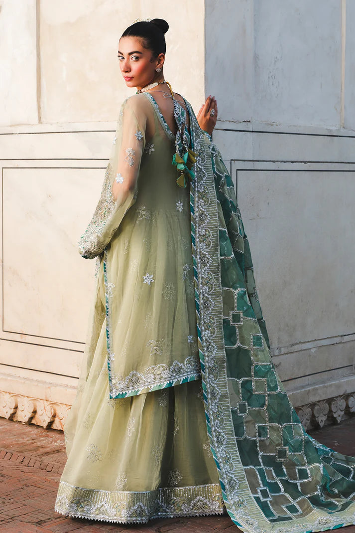 Zauj  by Raeesa Premium (AAK-06)