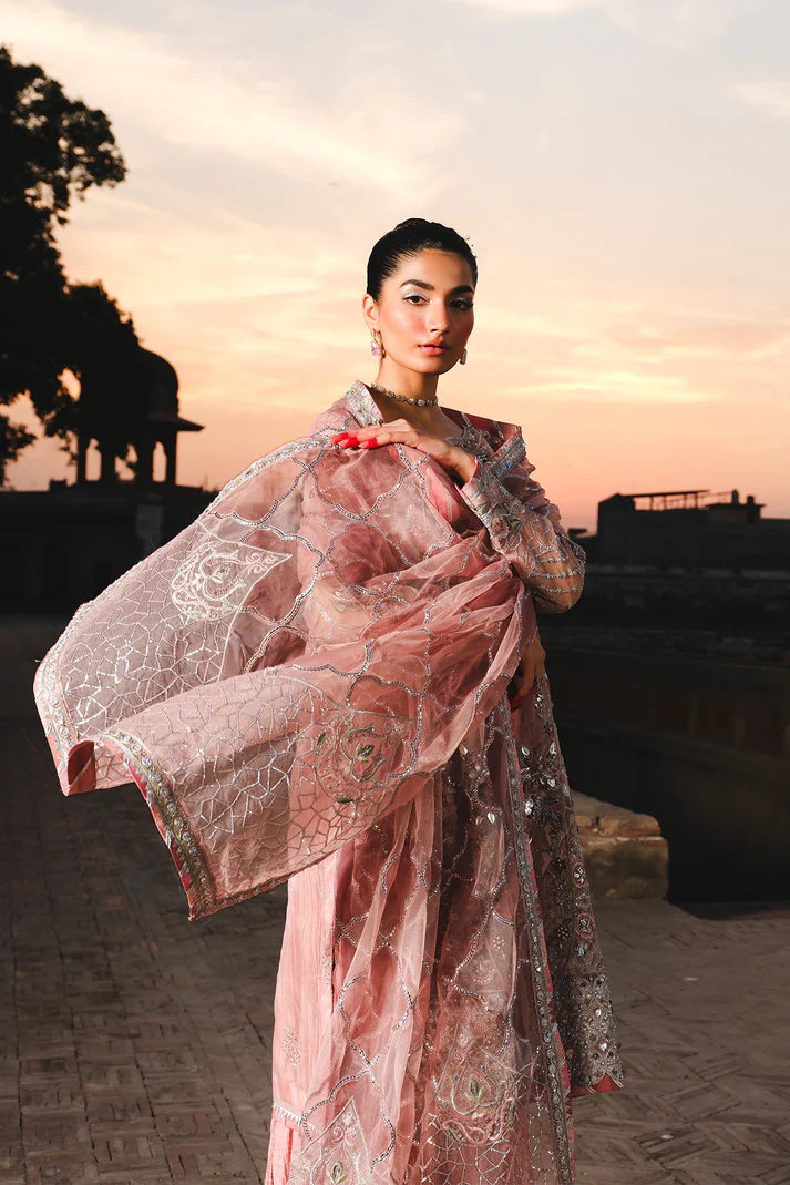 Zauj by Raeesa Premium (AAK-03)