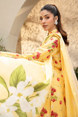 Elaheh By Maria B MBASIC Printed Lawn MB-06