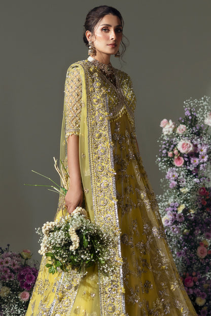 Elan Wedding Festive | LIME BLOSSOM (EC24-03)