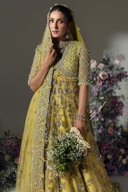 Elan Wedding Festive | LIME BLOSSOM (EC24-03)