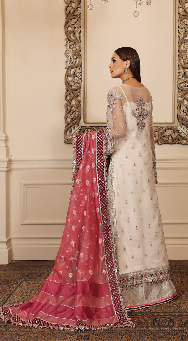 Embriodered Chiffon Collection by Anaya Ac22-06-Pricilla