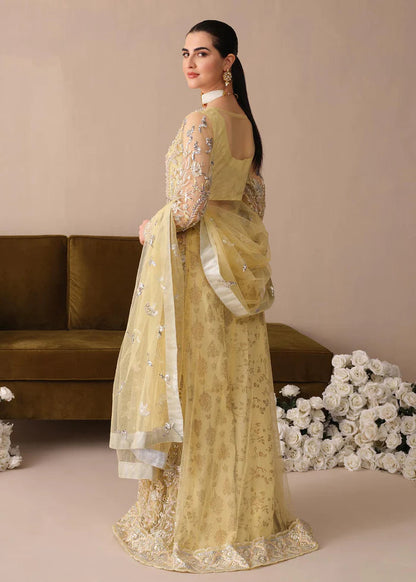 Noor Jahan by freesia premium (FFG-0015 Amar)