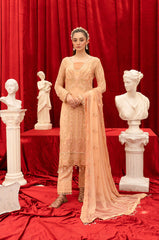 Hayat by Razab new Embroidered Chiffon collection hyt-4045 Dress 2024_04