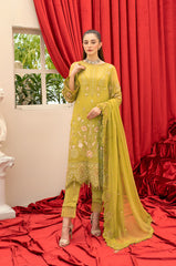 Hayat by Razab new Embroidered Chiffon collectionhyt-4043 Dress2024