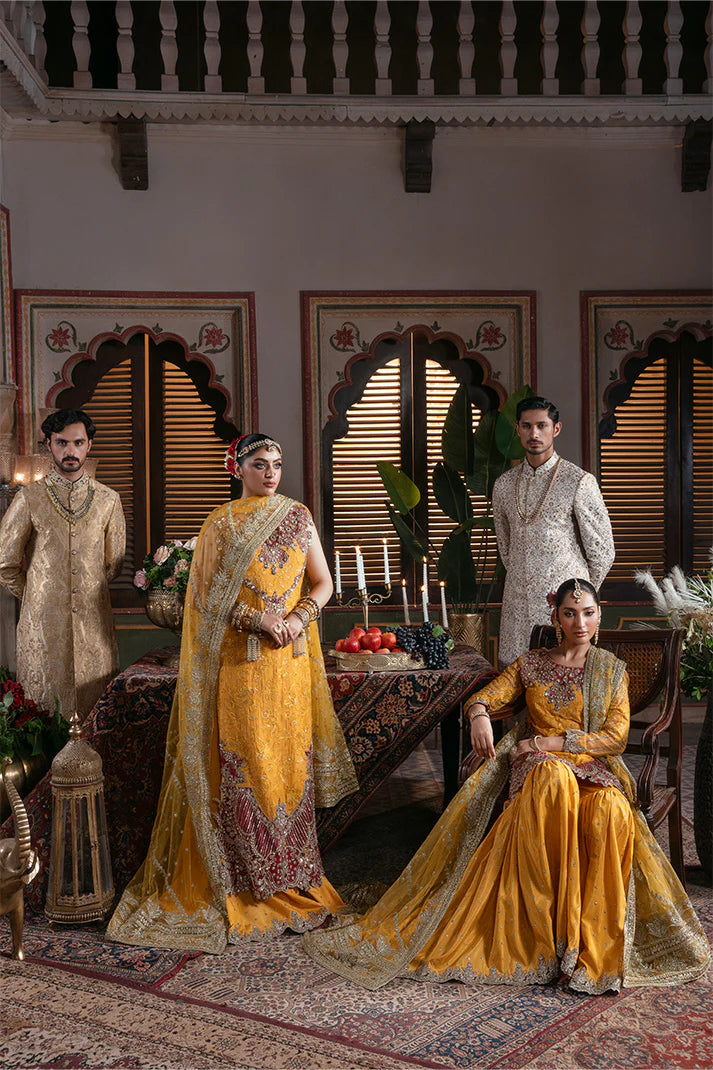 Noor-e-Naaz Bridal's by Imrozia IB-55 Roshni
