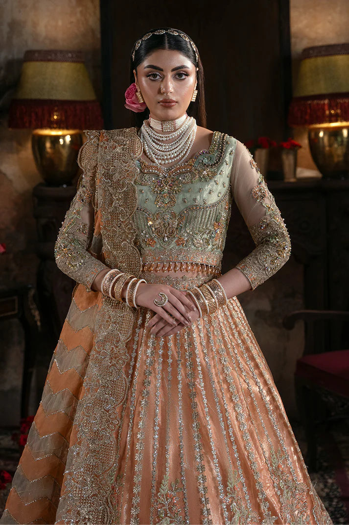 Noor-e-Naaz Bridal's by Imrozia IB-56 Sitarah