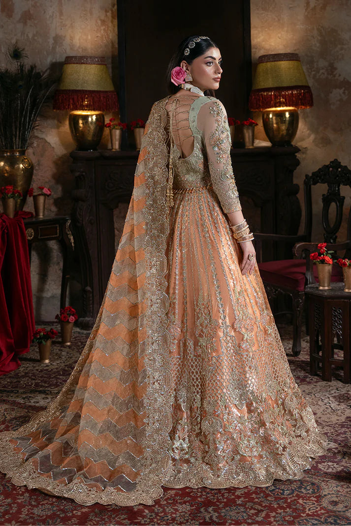 Noor-e-Naaz Bridal's by Imrozia IB-56 Sitarah