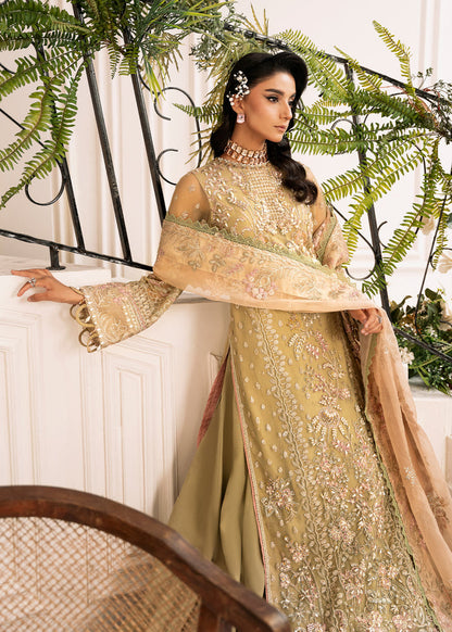 Inayat Luxury Wedding formals 24' | Brewing-matcha