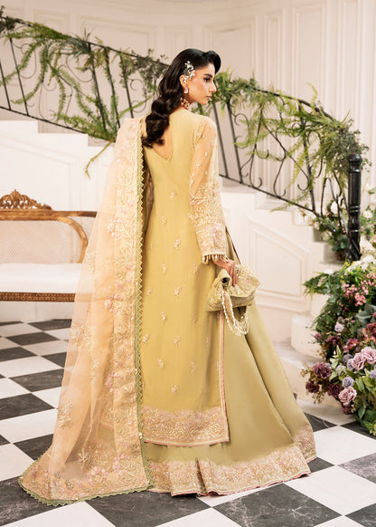 Inayat Luxury Wedding formals 24' | Brewing-matcha