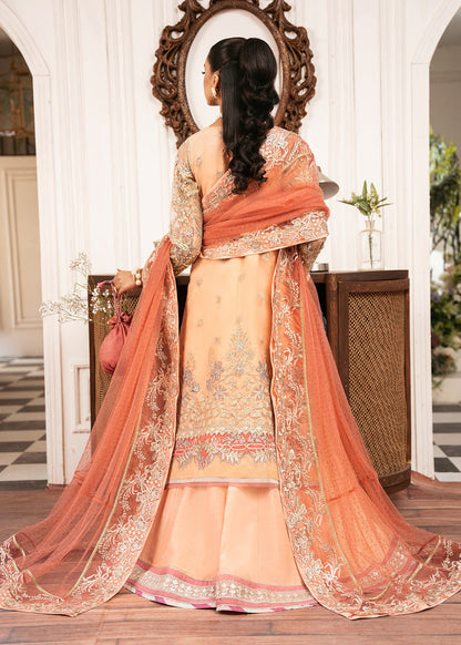 Inayat Luxury Wedding formals 24' | Sun Kissed