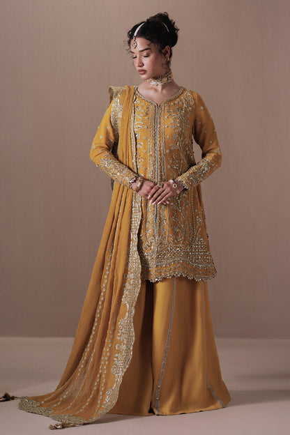 Jahanara Vol-2 by Zarposh | Dhanak