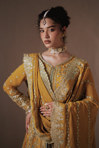 Jahanara Vol-2 by Zarposh | Dhanak