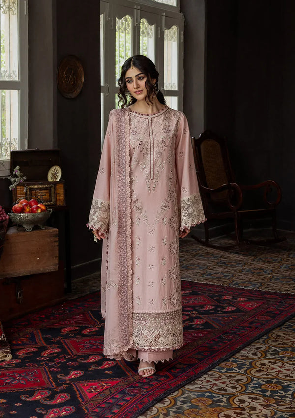 Kahf Karandi'25 KKH-08 ROSABELLE