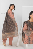 Khadija Basics By Anarkali Vol-1 '25 (D-06)