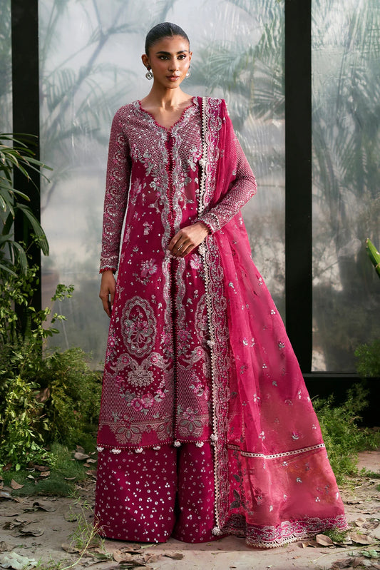 La Fuchsia Festive`25 by Afrozeh ROWAN 