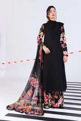 M/Basics Printed Collection`25 D-1B