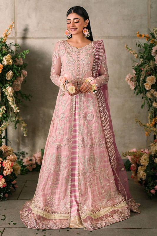 Mastani Evening by Mushq Maisha dress in new collection 2024 at anarkali fabrics