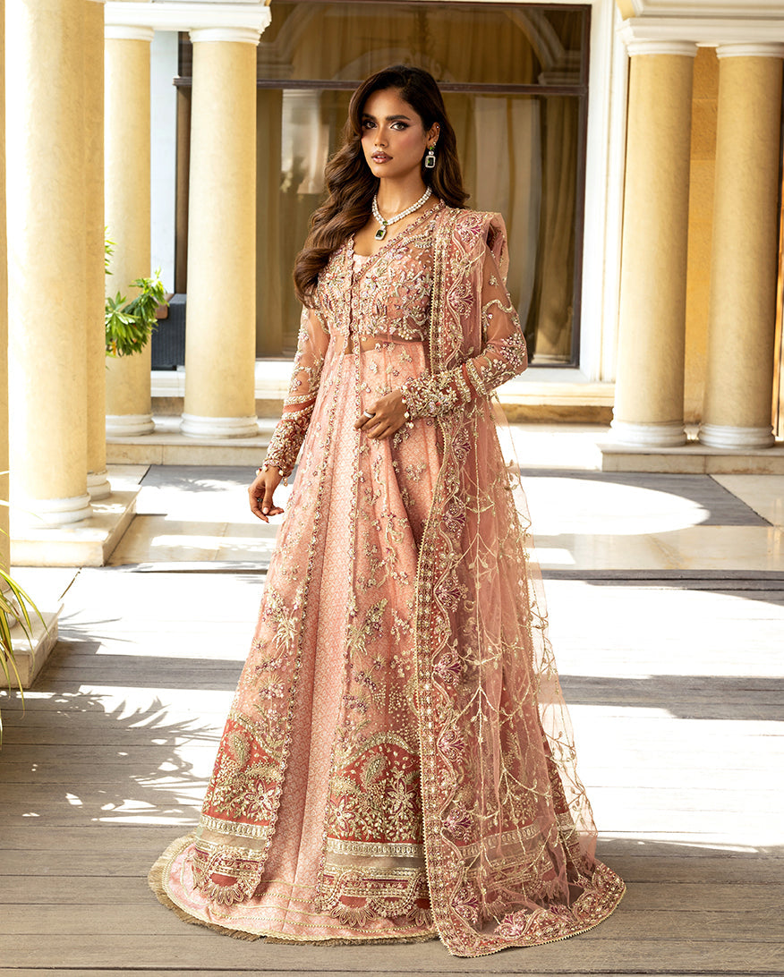 Darlings Wedding Collection'25 By Mushq ( Naina )