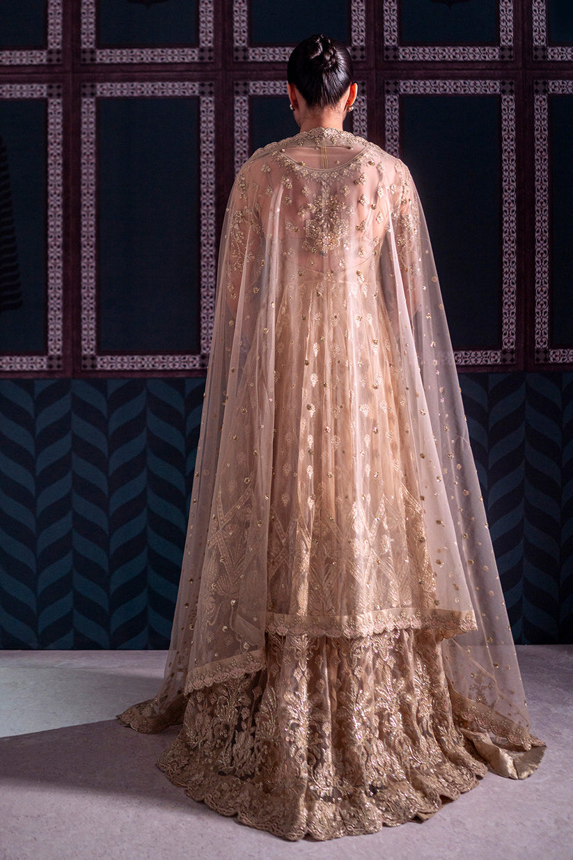 Parinaaz by Neeshay Wedding Formals | ZARIFA