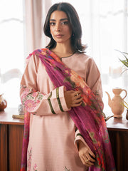 Parisa Premium by Rajbari D-12