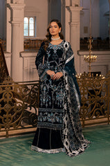 Raani by Razab New Collection 2024-RRV-08
