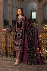 Raani by Razab New Collection 2024 RRV-01