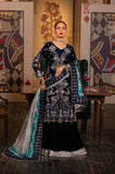 Raani by Razab New Collection 2024 RRV-04