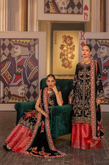 Raani by Razab new collection 2024 RRV-06