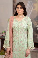 Raeesa Premium | Noor E Fajar | Aafreen | NF - 1434