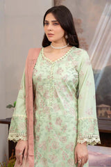 Raeesa Premium | Noor E Fajar | Aafreen | NF - 1434
