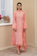 Raeesa Premium | Noor E Fajar | Marwa | NF - 1395