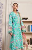 Raha by RajBari Chikankari Lawn (D-08)